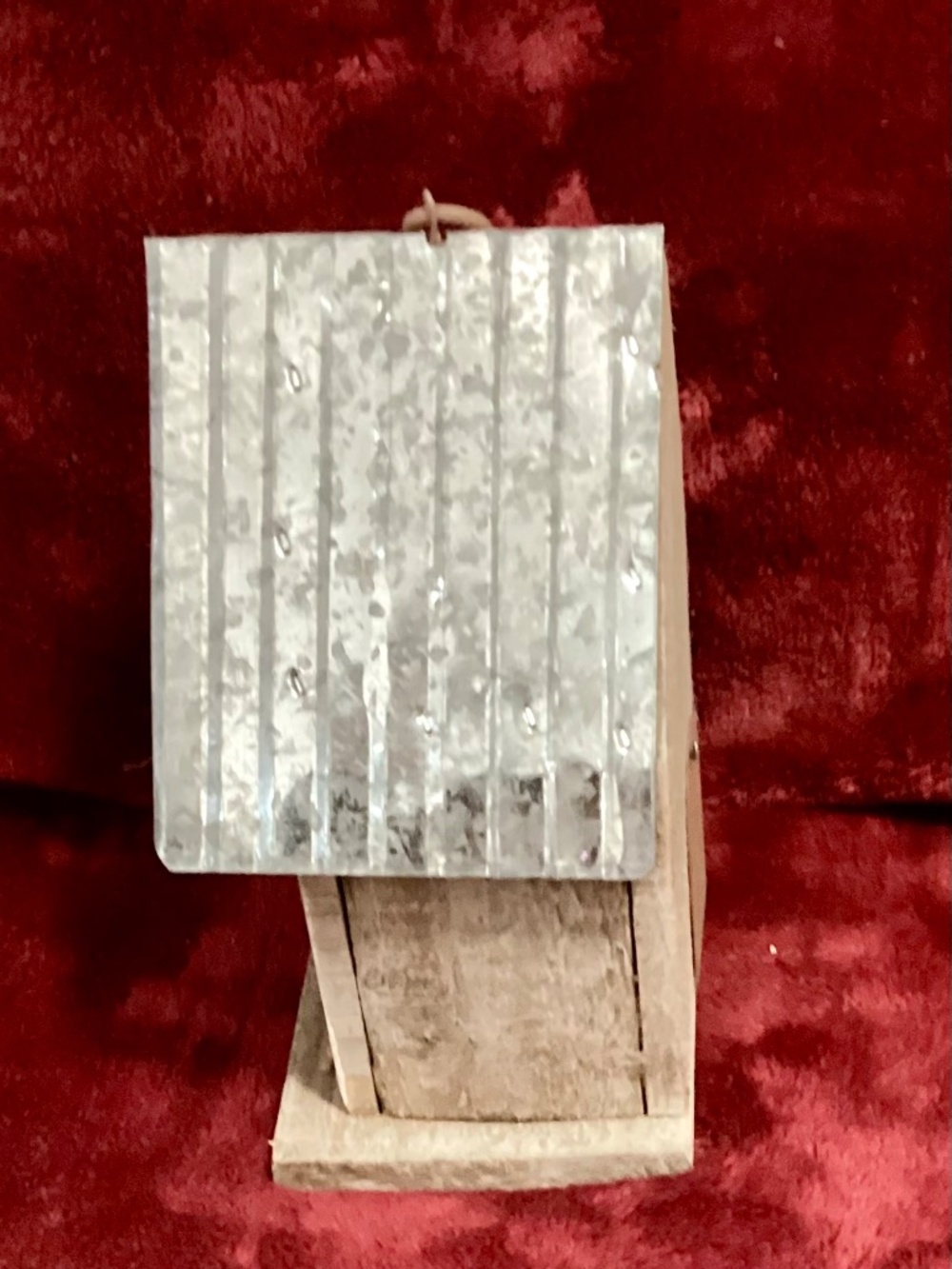 Bird House - Picture 4 of 4